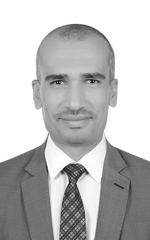 Prof. Dr. Mohamed Owais